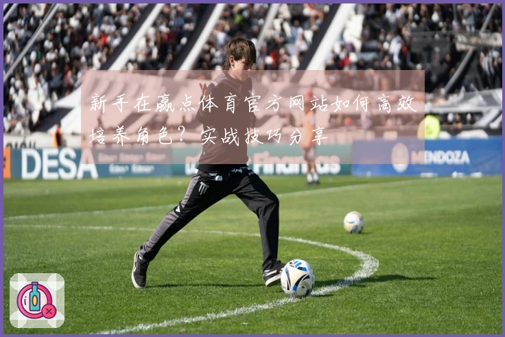 新手在赢点体育官方网站如何高效培养角色？实战技巧分享
