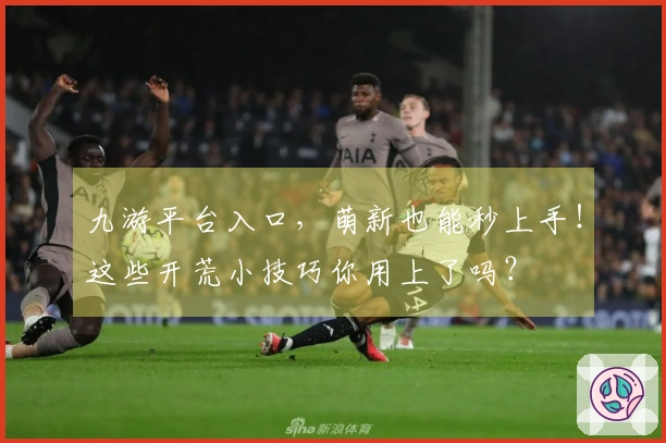 九游平台入口，萌新也能秒上手！这些开荒小技巧你用上了吗？
