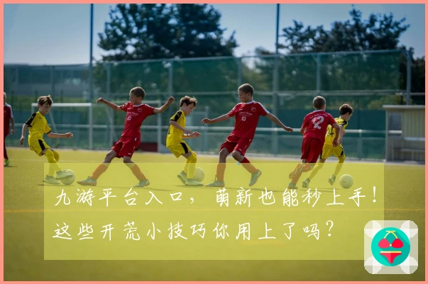 九游平台入口，萌新也能秒上手！这些开荒小技巧你用上了吗？